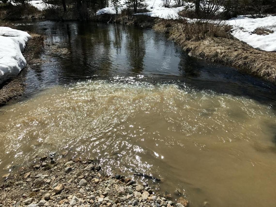 Sediment from the Stibnite mine site flows into Blowout Creek, a tributary of the East Fork of the South Fork of the Salmon River.
