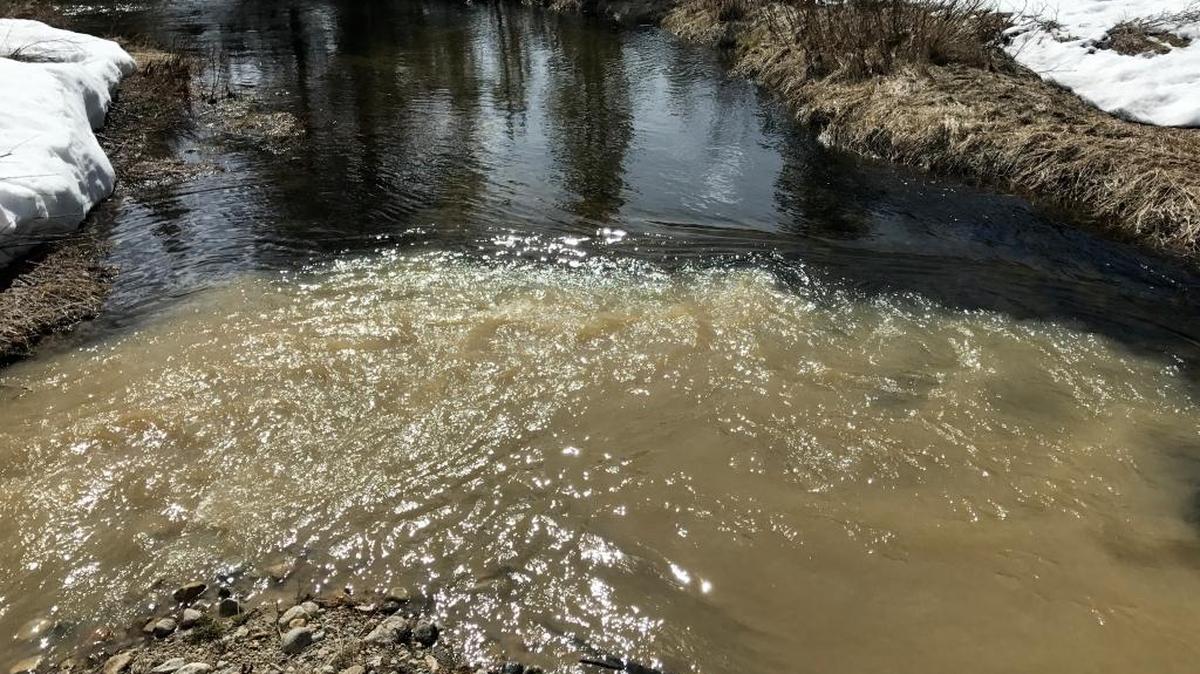Sediment from the Stibnite mine site flows into Blowout Creek, a tributary of the East Fork of the South Fork of the Salmon River.