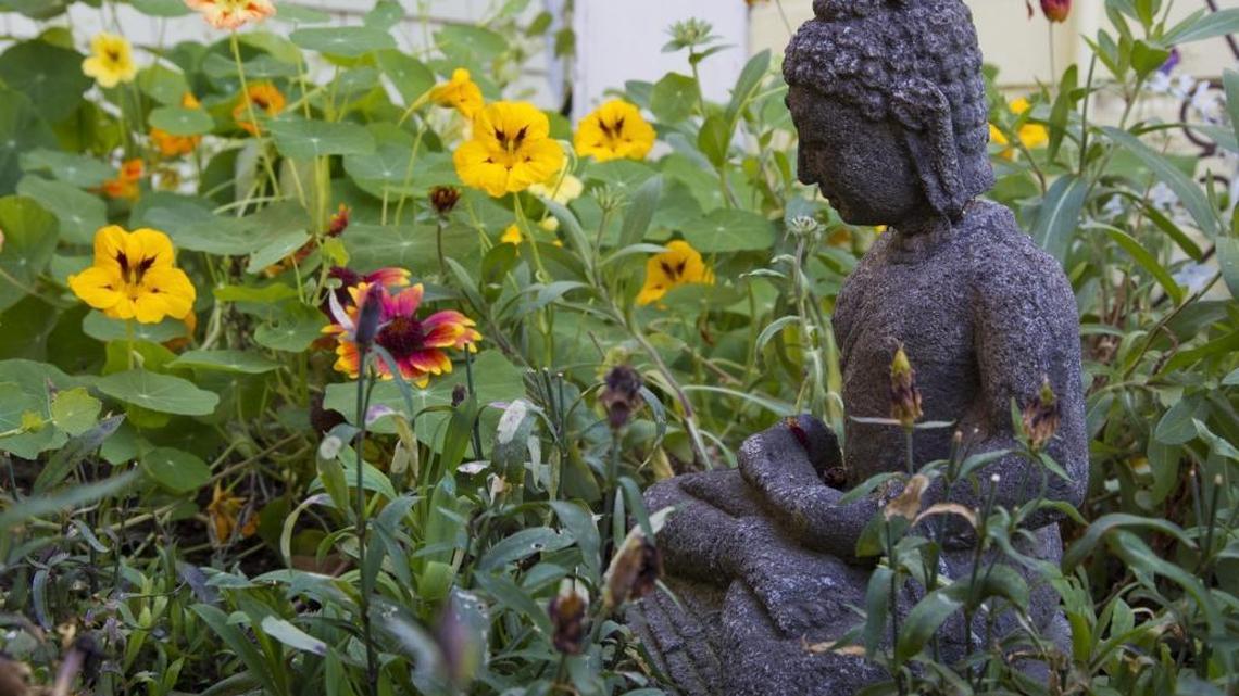 Tips for protecting the seeds you sow in your garden now for summer blooms