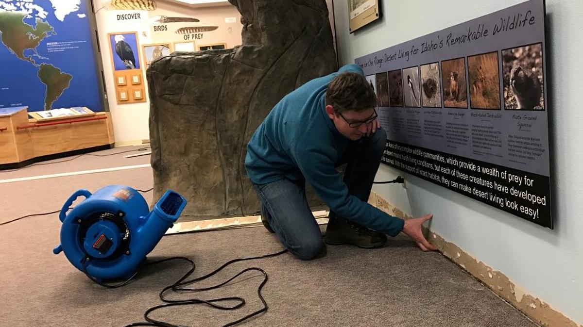 Director Tate Mason examines damage in the exhibit wall.