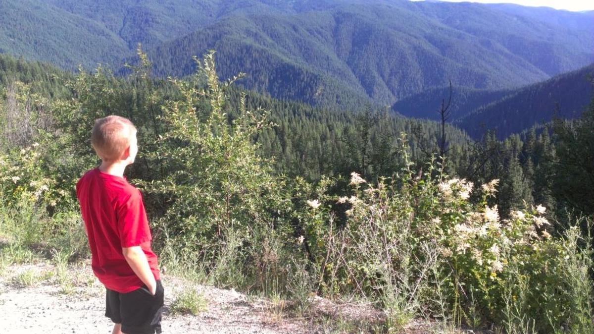 The Lochsa River Canyon from near the Lewis and Clark Trail where private timber lands are intermixed with national forest.