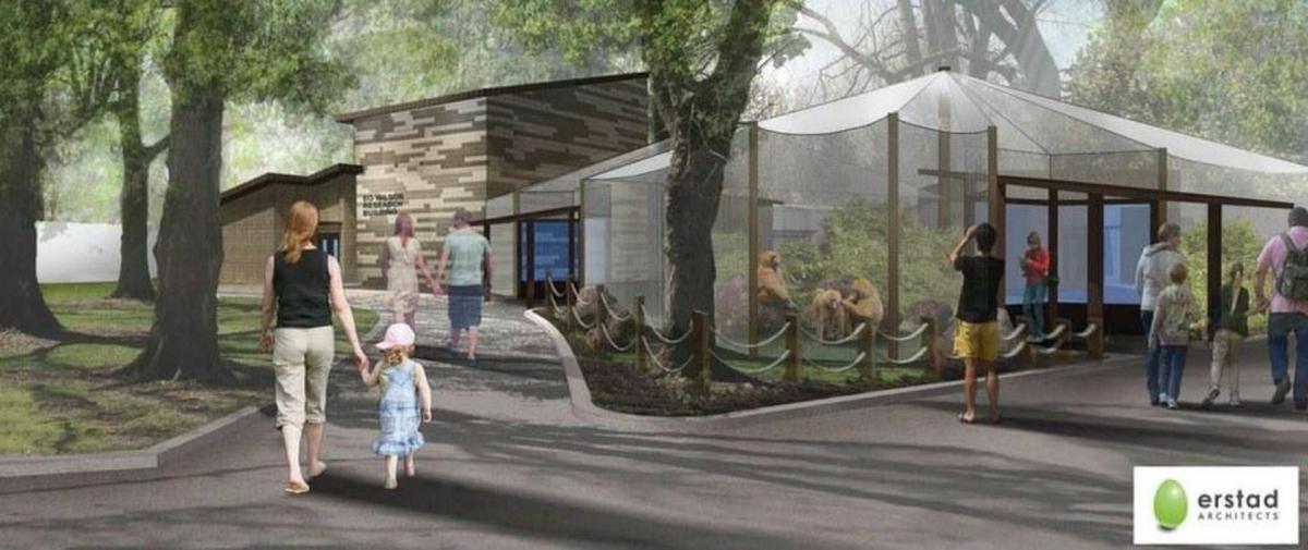 An artist’s drawing shows how a portion of the new Zoo Boise exhibit will look. The exhibit will feature animals native to Gorongosa National Park in Mozambique.