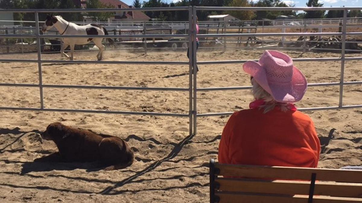 Participants in The Cancer Connection Idaho retreats at the LaJoie home in Eagle spend a day communing with the animals and fresh air. The family has organized three retreats since 2015, with more to come.