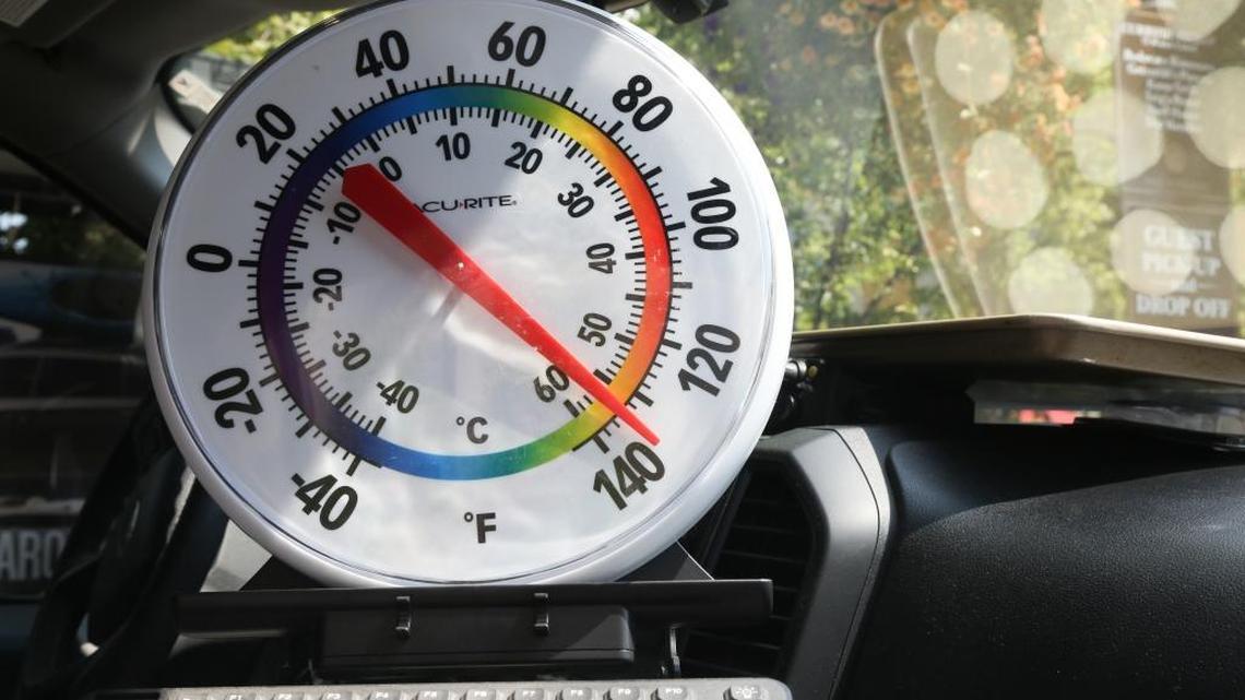 Temperatures rose high enough to slowly bake cookies in an SUV — and way too high for a baby or animal to be safe.