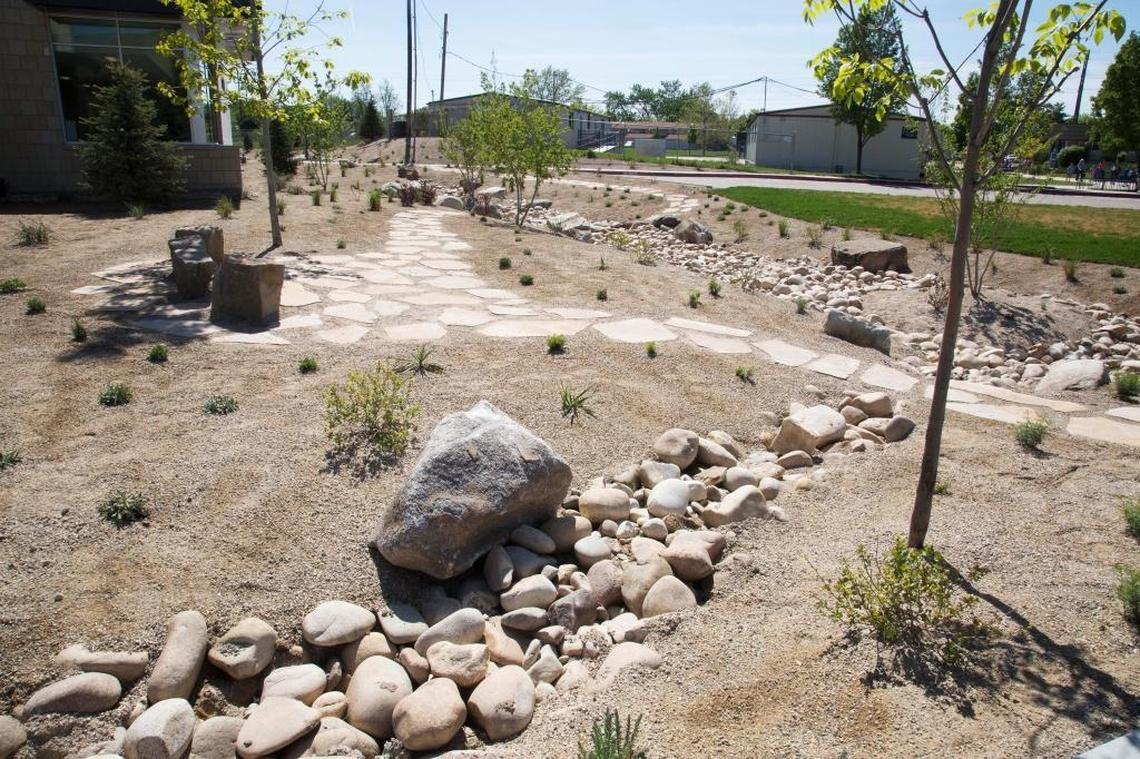 The Bown Crossing Library branch is “green” inside and out. The exterior landscaping focuses on low-water plants and elements, including a dry river “bioswale” that will filter run-off water from the parking lot.