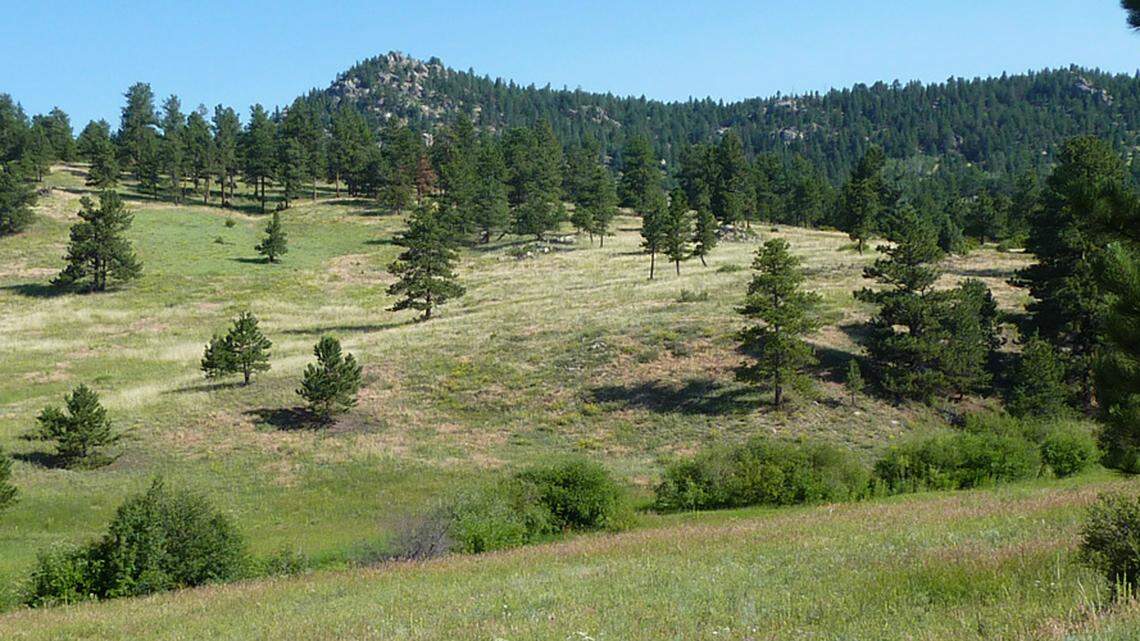 Search parties looked for a hiker lost in the Colorado mountains overnight — until she turned up at the visitors center in the morning.