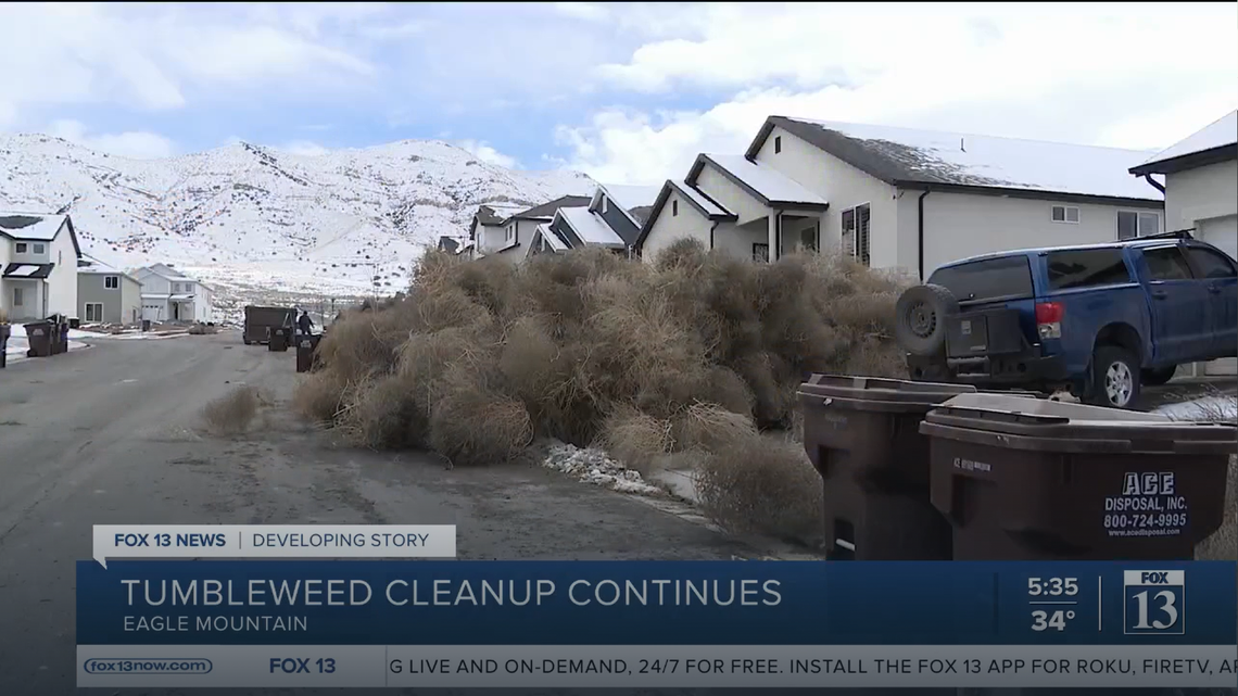 Tumbleweeds have completely taken over some western towns in the U.S., but some people are making a profit from them.
