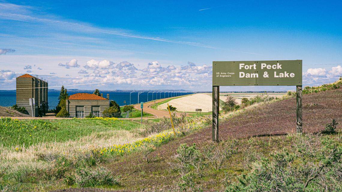 On Aug. 9, an angler caught a massive Chinook salmon from Montana’s Fort Peck Lake.