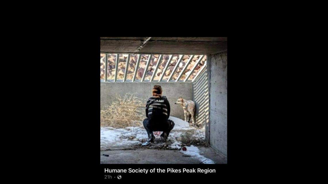 A dog was missing for days until he was found in an icy Colorado storm drain tunnel, a shelter said.