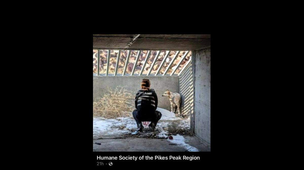 A dog was missing for days until he was found in an icy Colorado storm drain tunnel, a shelter said.