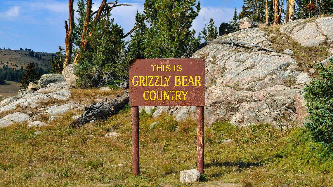 A third grizzly bear was shot and killed in self-defense in just one month in Montana.