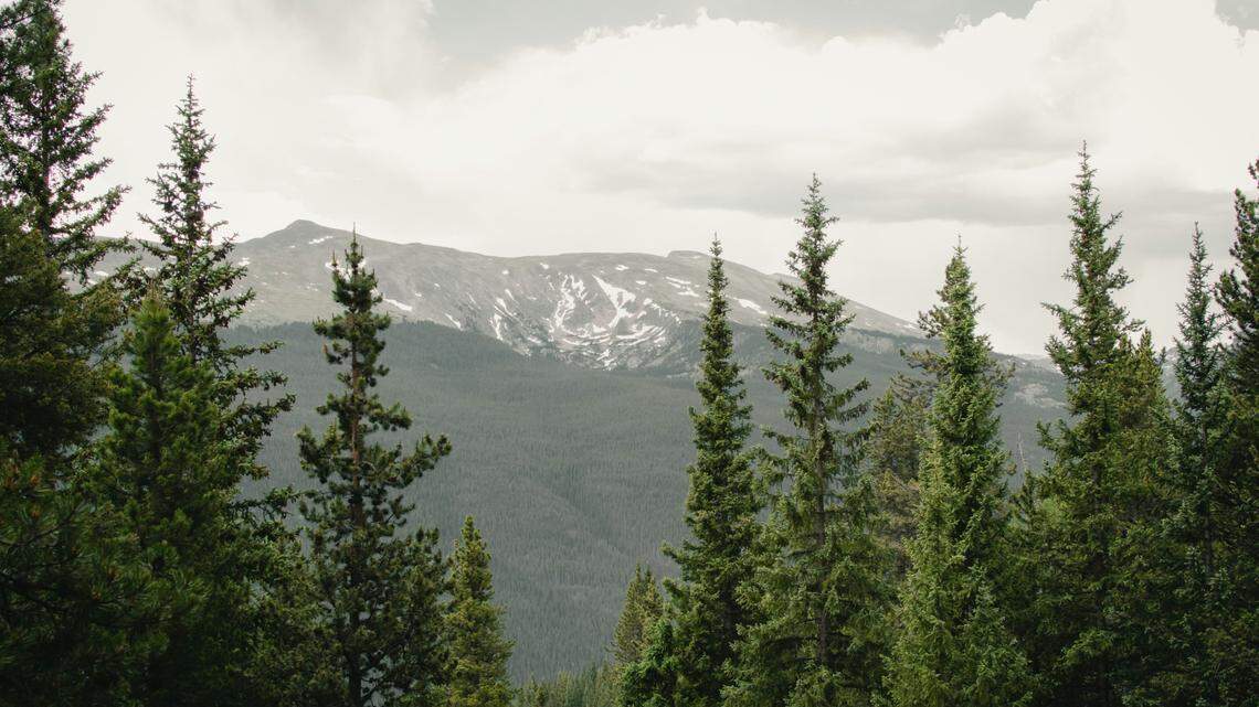 A biologist made a “potentially game-changing discovery” for the future of a Colorado endangered species — almost a decade into reintroduction efforts.