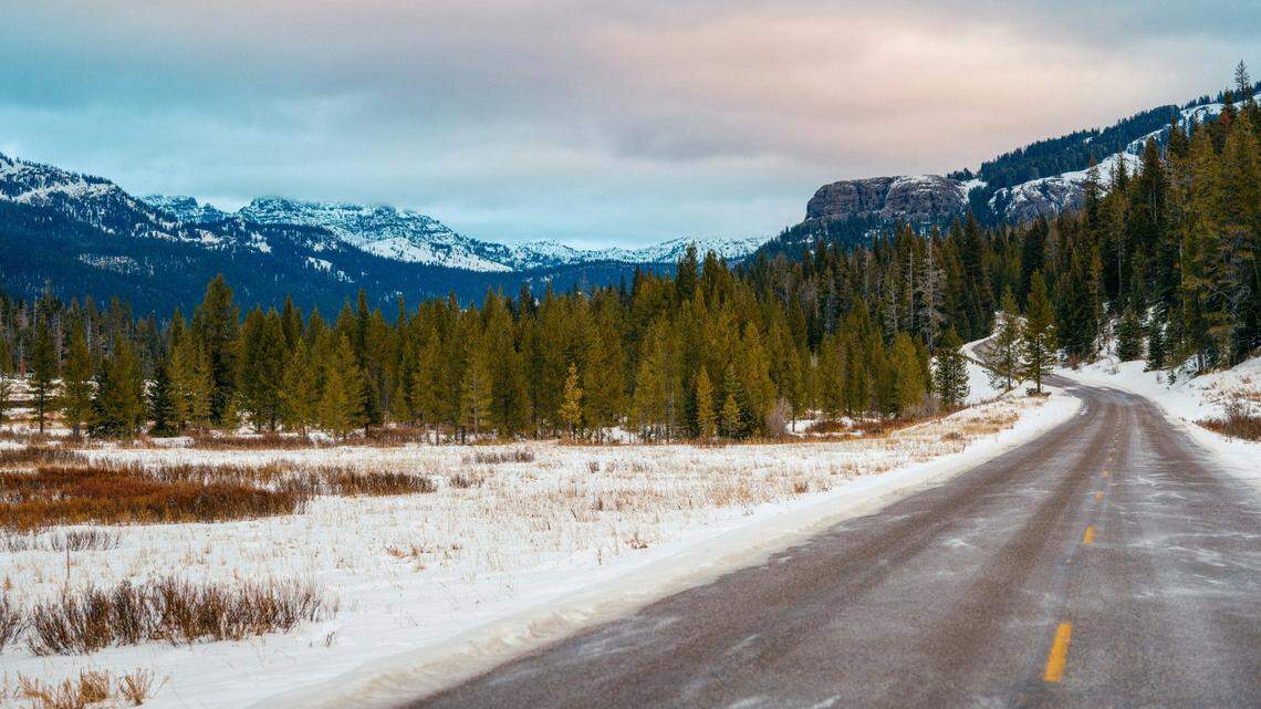 An apex predator was found wrapped in a tarp along a Montana roadway — without its head or tail, game wardens said.
