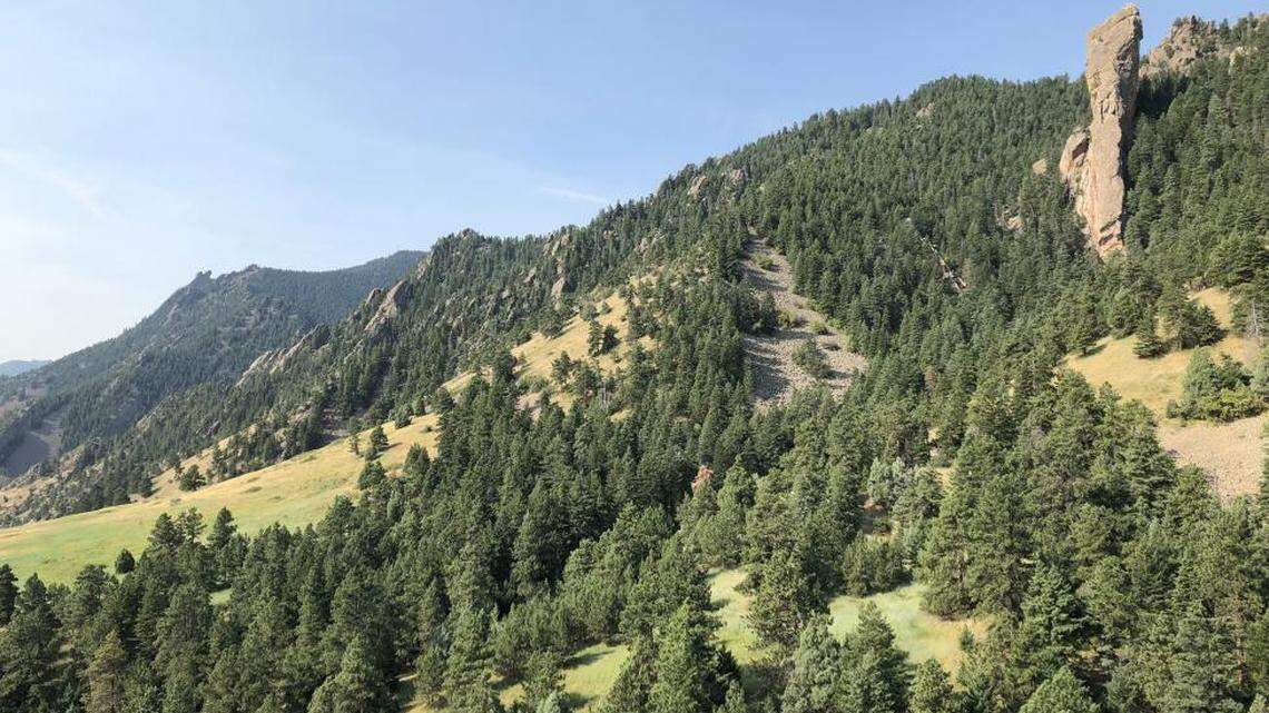 A horse slipped on a loose rock and slid 300 feet into a ravine on a Boulder Open Space and Mountain Parks trail.
