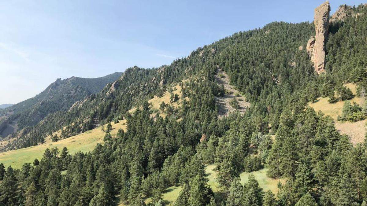 A horse slipped on a loose rock and slid 300 feet into a ravine on a Boulder Open Space and Mountain Parks trail.