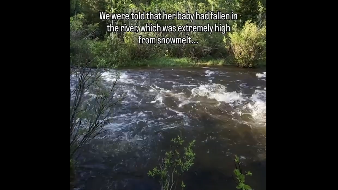 A woman excited for a peaceful camping trip in Colorado arrived to the distressing sight of a mother moose frantically searching the campground for her calf — which had fallen into the fast flowing river, video shows.