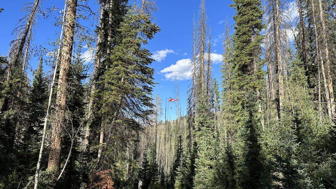 An injured dirt biker was lifted out of a remote area of a Utah forest, rescuers said.