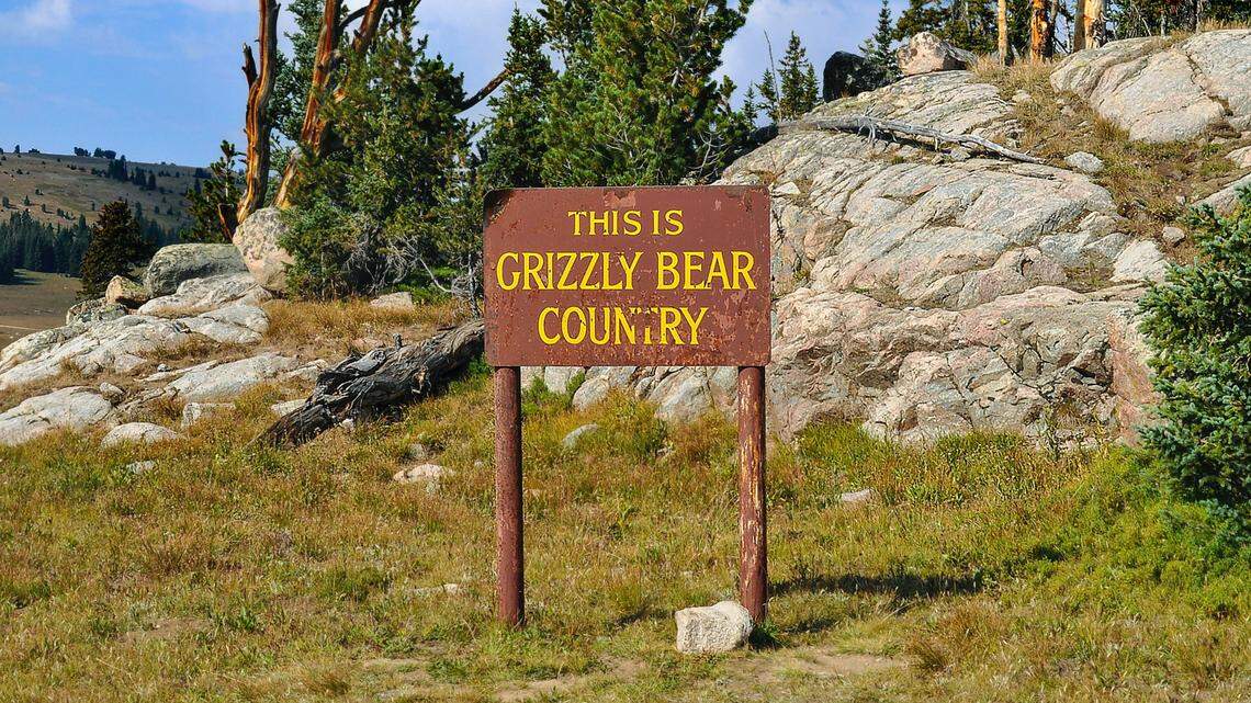 A grizzly bear with a history of conflicts with people — that was also linked to the death of a solo hiker in Yellowstone in July — broke into a home in Montana to steal food.