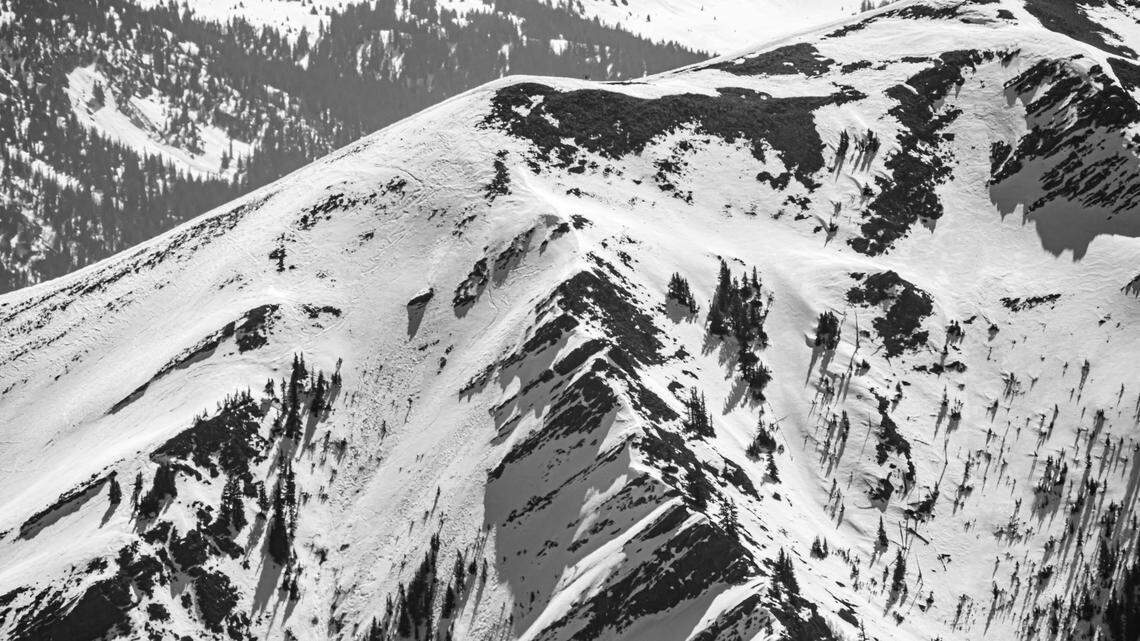 A moose caused an avalanche from hundreds of feet below the break in northern Colorado.
