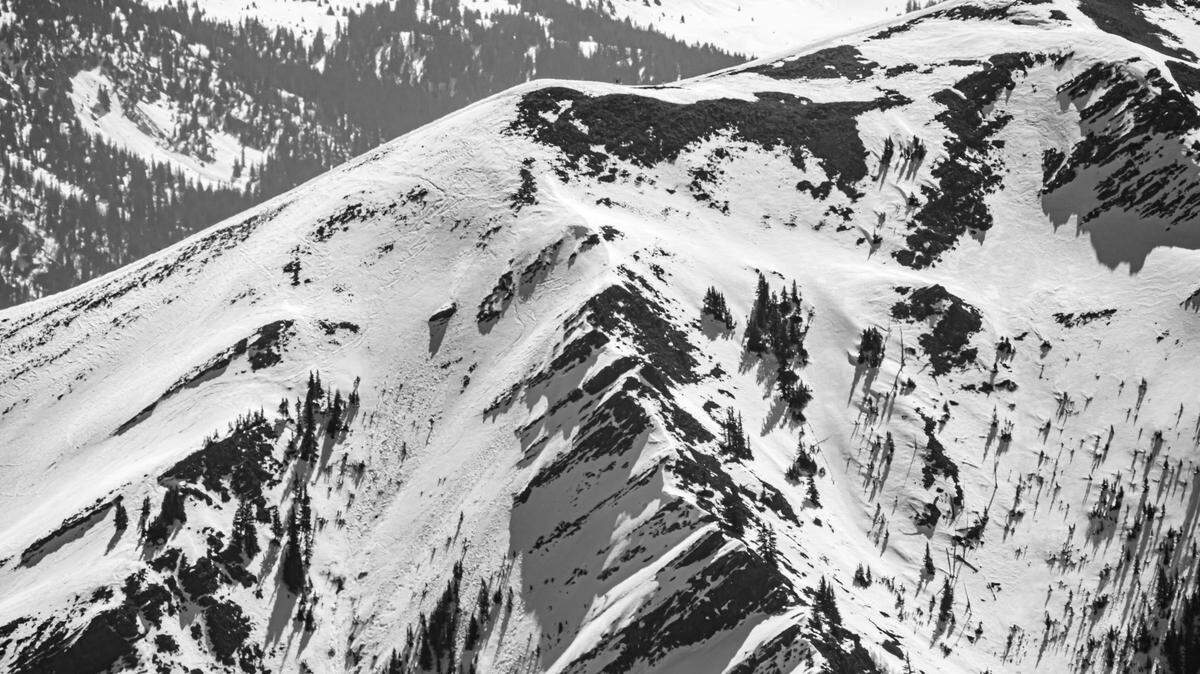 A moose caused an avalanche from hundreds of feet below the break in northern Colorado.