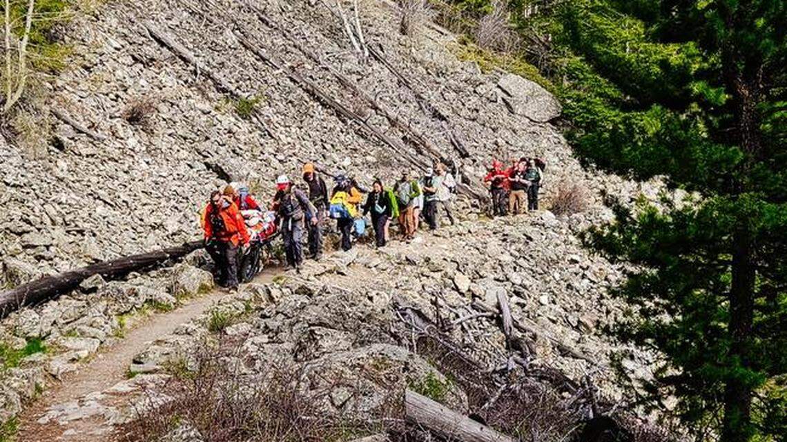 A falling tree hit a hiker and sent him plunging down a ravine on a Colorado trail.