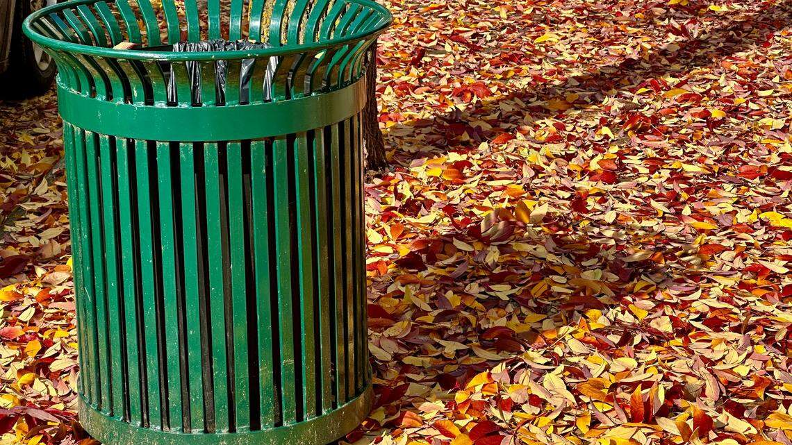 A bear spotted eating from a trash can had its entire head inside in a Colorado city, a photo shows.