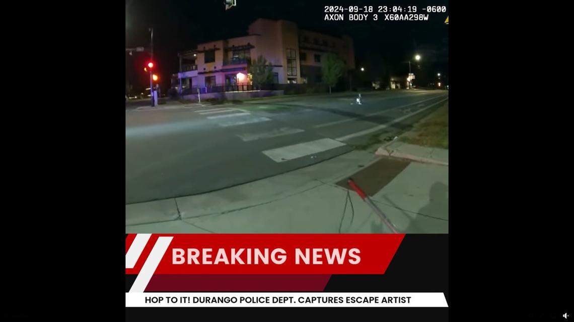 A runaway pet led police on a wild chase through the streets of a Colorado town, video shows.