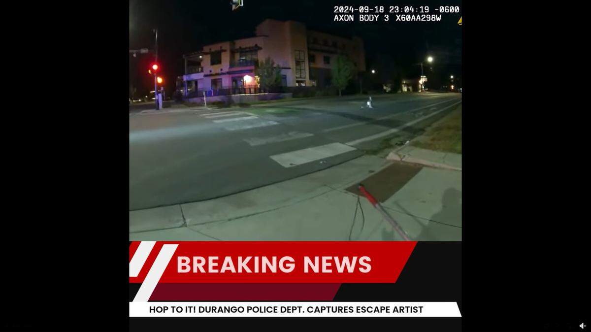 A runaway pet led police on a wild chase through the streets of a Colorado town, video shows.