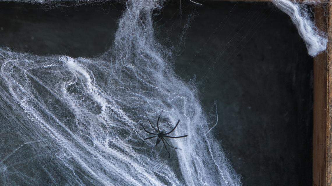 Yard decorations — especially of the Halloween variety — keep getting tangled in deer, moose, and elk antlers in Colorado.