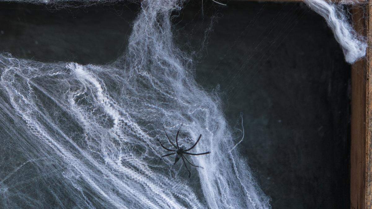 Yard decorations — especially of the Halloween variety — keep getting tangled in deer, moose, and elk antlers in Colorado.