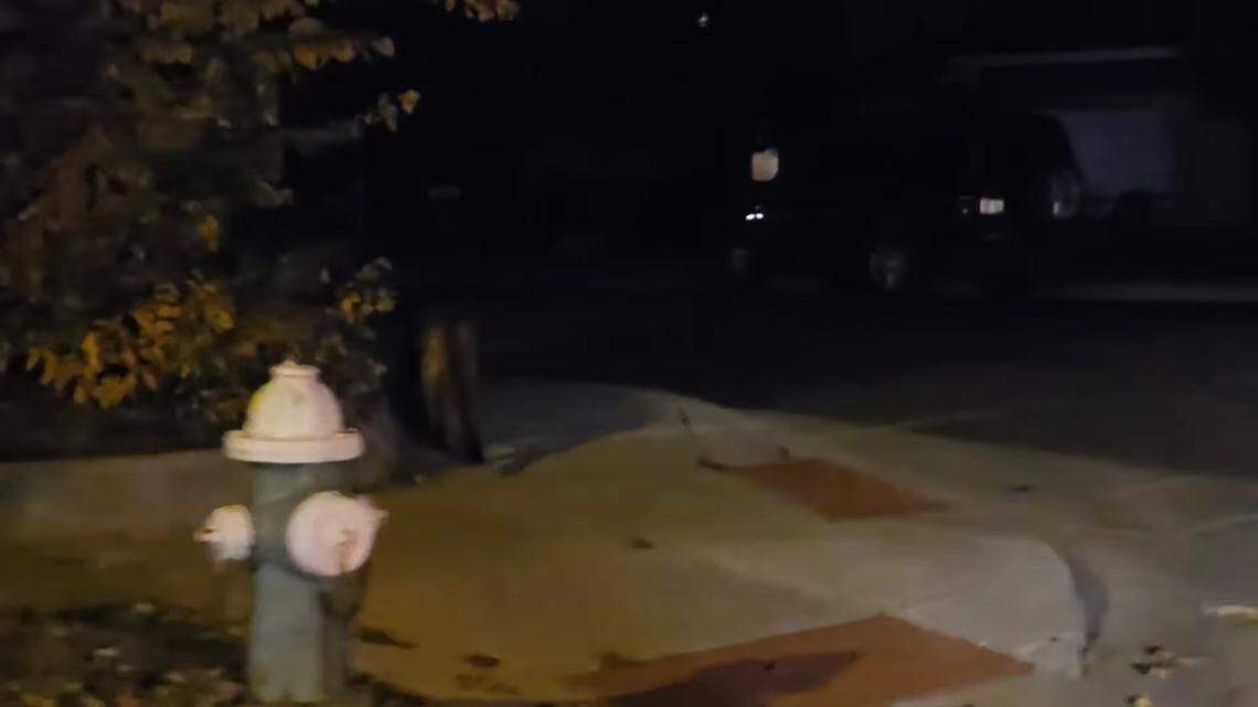 An elusive predator that appeared to be injured was spotted walking along the sidewalk in a Colorado neighborhood, videos shows.