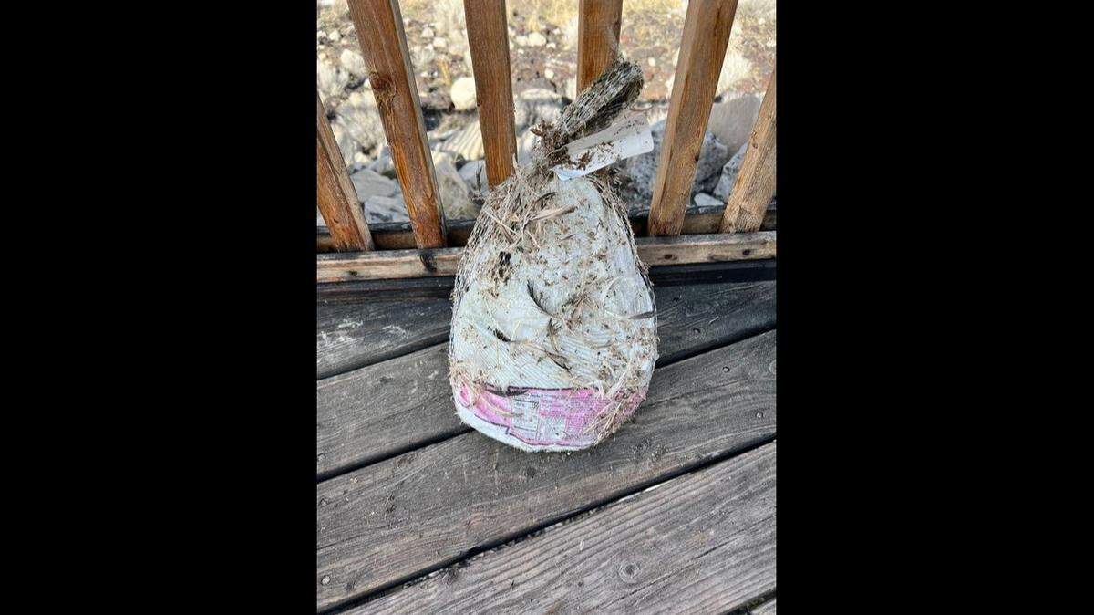 A whole packaged turkey washed up on the shores of Utah’s Great Salt Lake in an apparent brining gone awry, officials said.