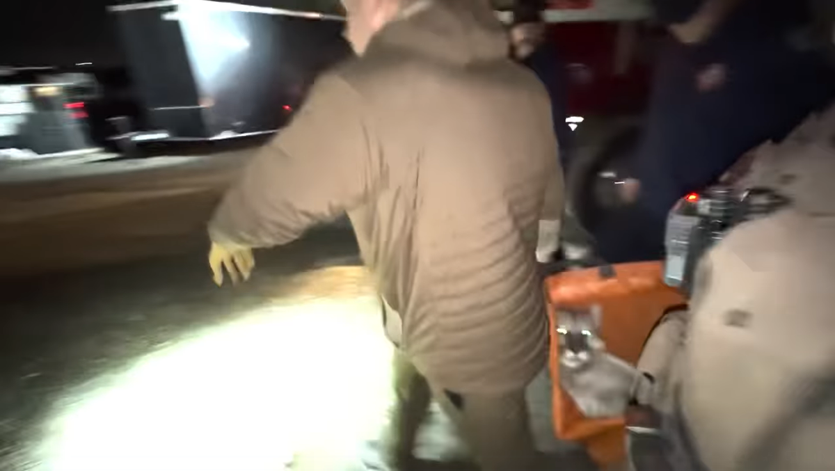 Utah Division of Wildlife Resources and firefighters removed a mountain lion from a Utah neighborhood after someone spotted it perched high in the limbs of a tree, video shows.