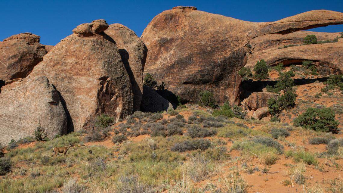 A hiker died after falling about 30 feet from an overlook in Utah’s Arches National Park, rangers said.