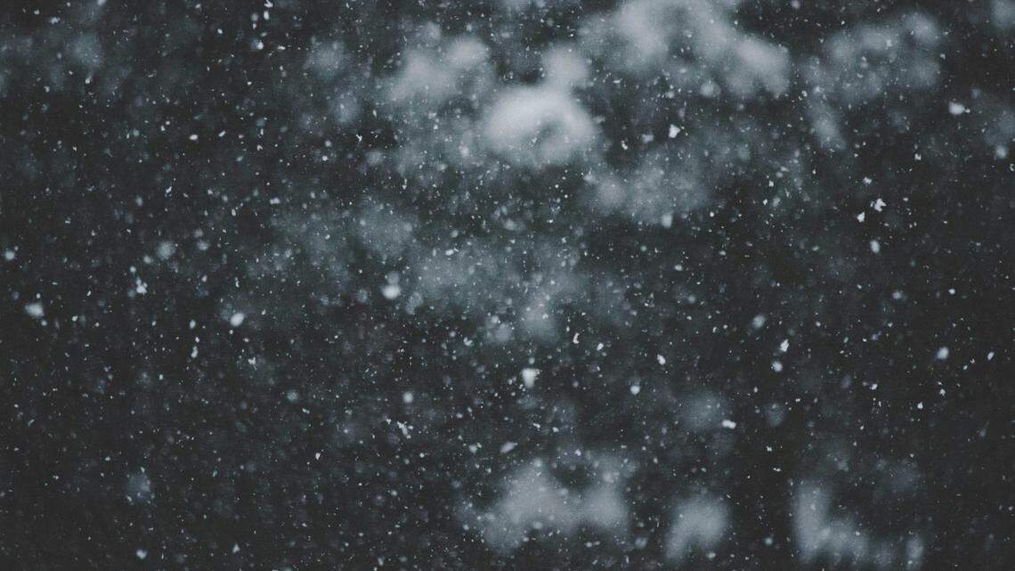 An iconic apex predator appeared through thick fog and steam in Yellowstone National Park like an apparition, video shows.