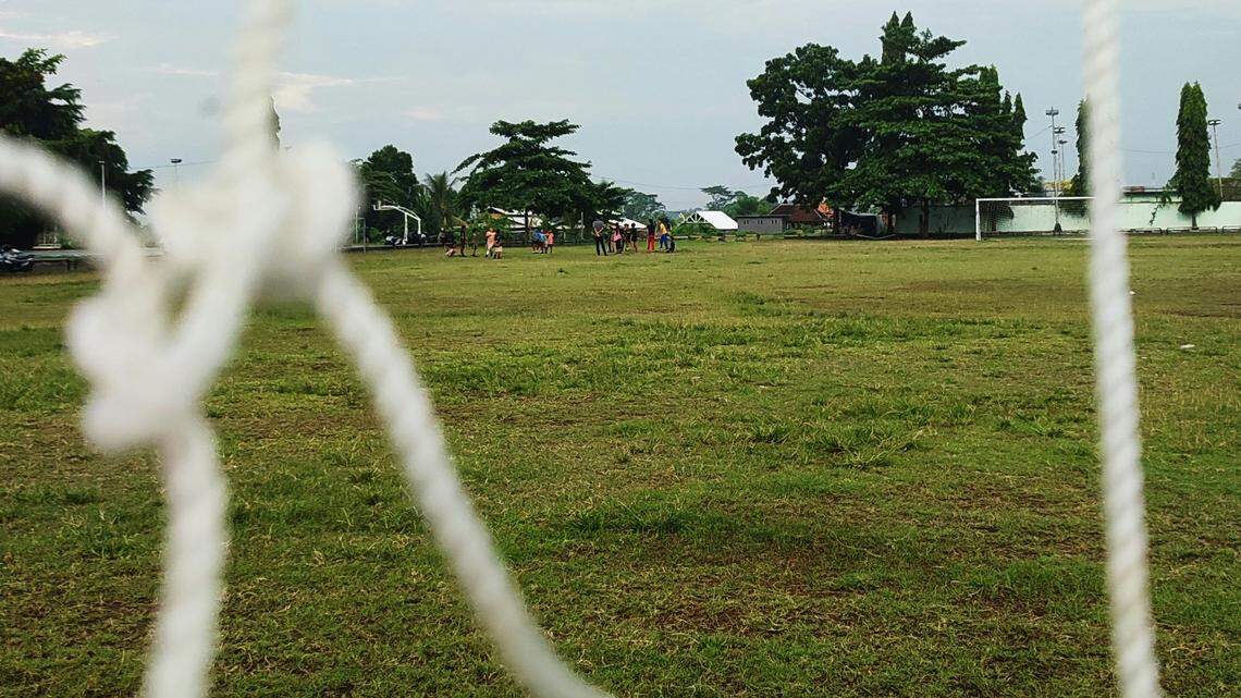 Wildlife officers freed a large animal after it became tangled in a soccer goal net in Colorado.