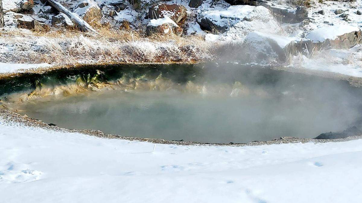 A long-inactive geyser in Yellowstone National Park erupted for the first time in decades, and a lucky geyser enthusiast was there to see it.