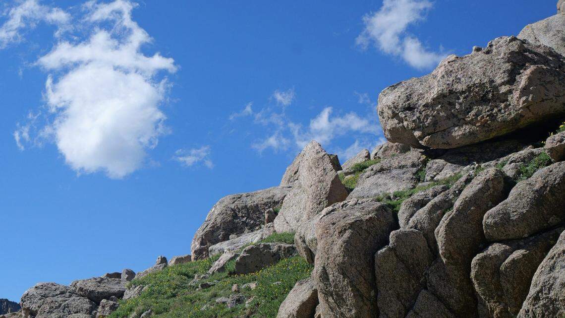 A trifecta of critters posed together on top of an iconic Colorado mountain.