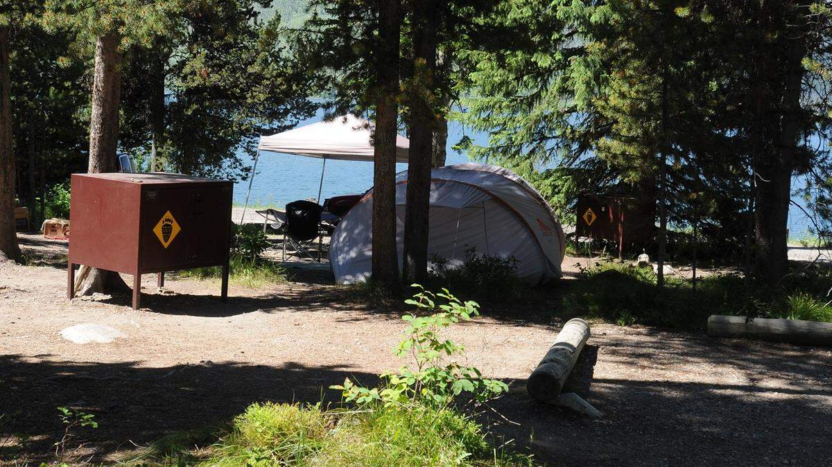 A sneaky creature has been caught stealing campers’ shoes in Grand Teton National Park, officials said.