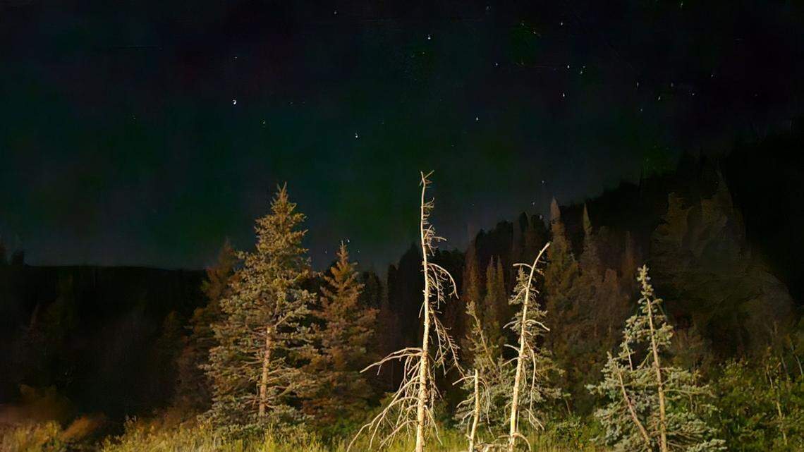 A trail runner fought off a charging black bear in a Utah canyon. Wildlife officials tracked the bear with hounds and killed it for showing aggressive behavior and injuring a person.