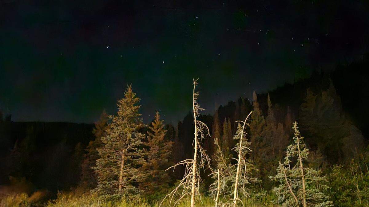 A trail runner fought off a charging black bear in a Utah canyon. Wildlife officials tracked the bear with hounds and killed it for showing aggressive behavior and injuring a person.