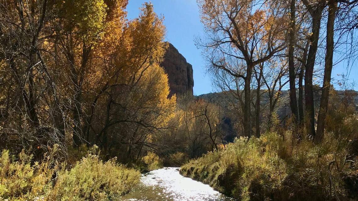 There’s a creepy-looking creature with long fan-like teeth that’s haunting the waters of Utah just in time for the Halloween season.