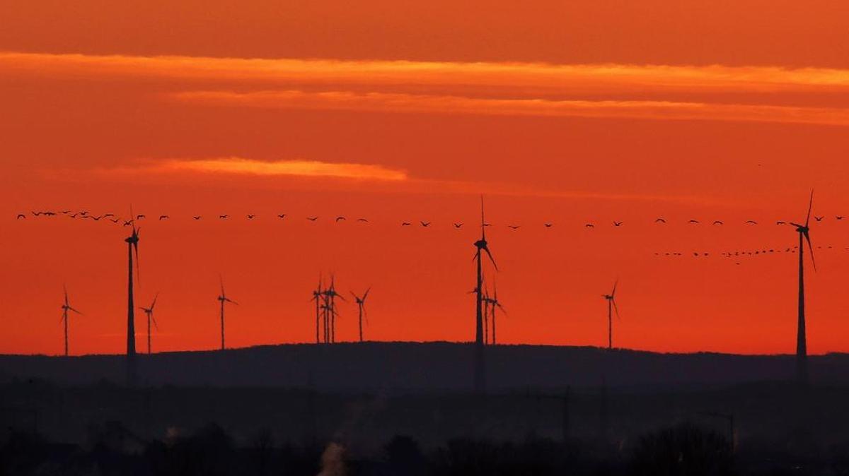 In this March 28, 2017 file photo, a swarm of birds flies past wind turbines just before sunrise in the outskirts of Frankfurt, Germany. A senior EU official says the EU and China will reaffirm their commitment to the Paris climate change accord this week, regardless of whether President Donald Trump pulls out of the pact.
