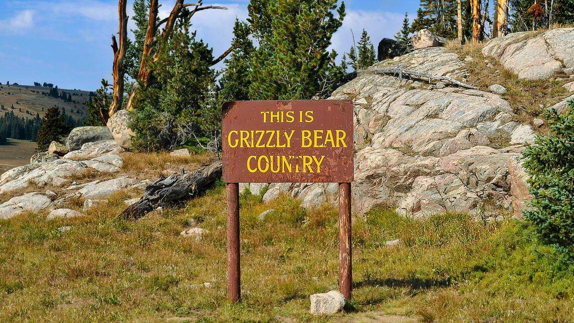 A hunter shot and killed a grizzly that charged him at a close range in Montana, officials said.