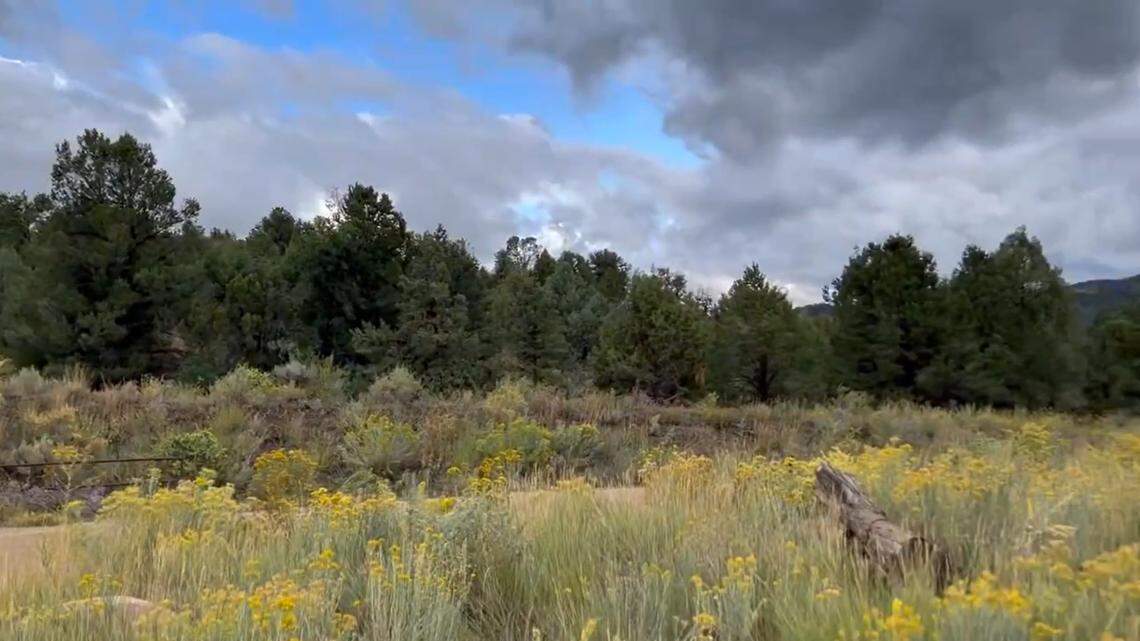 A pair of injured creatures flew to freedom together in Colorado after recovering in a wildlife rehabilitation center.