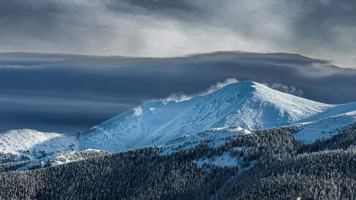 A 20-year-old skier crashed into a tree and died at a Colorado resort, officials said.