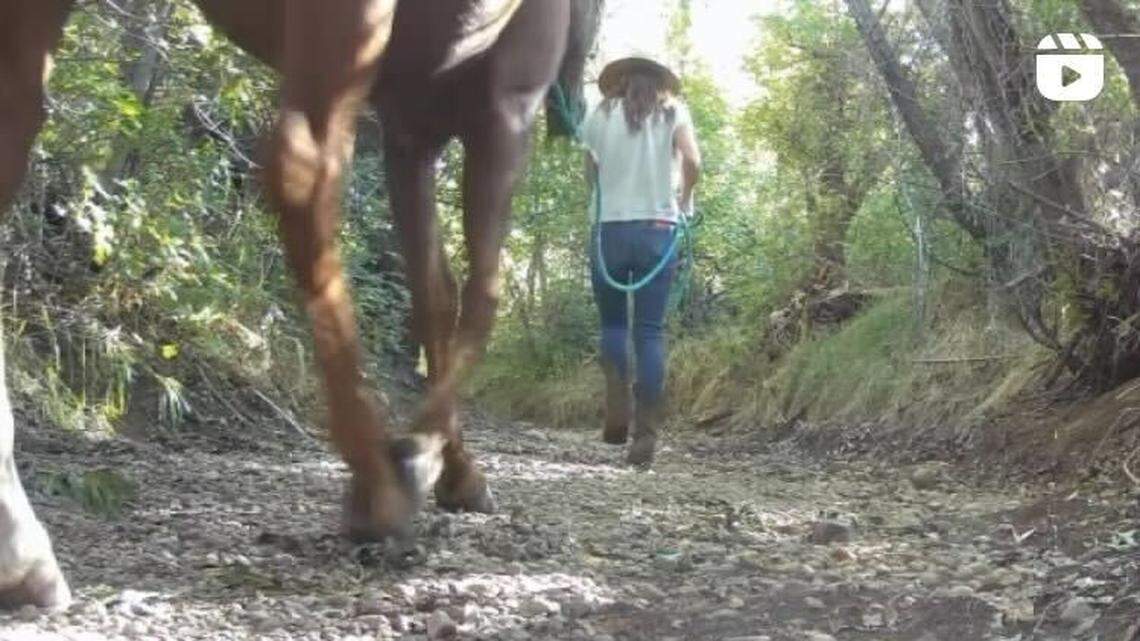 A trail camera captured a woman and her horse walking through a property in Colorado — and revealed a couple of curious predators were not far behind them.