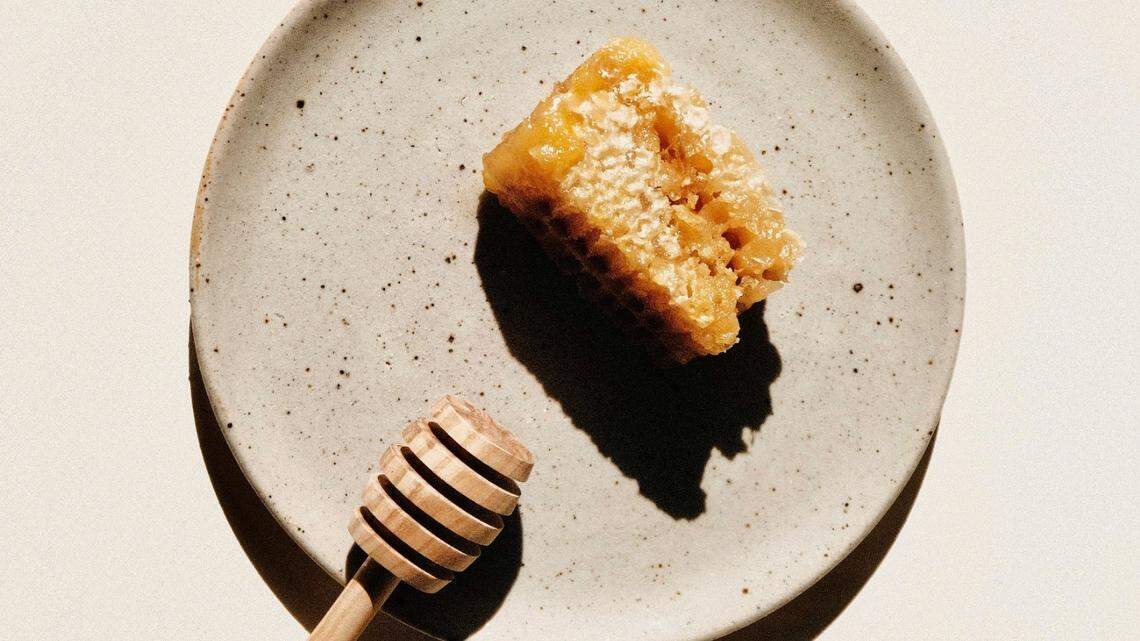 A furry beast crashed Colorado’s Ren Fest and refused to leave without its favorite sweet treat.