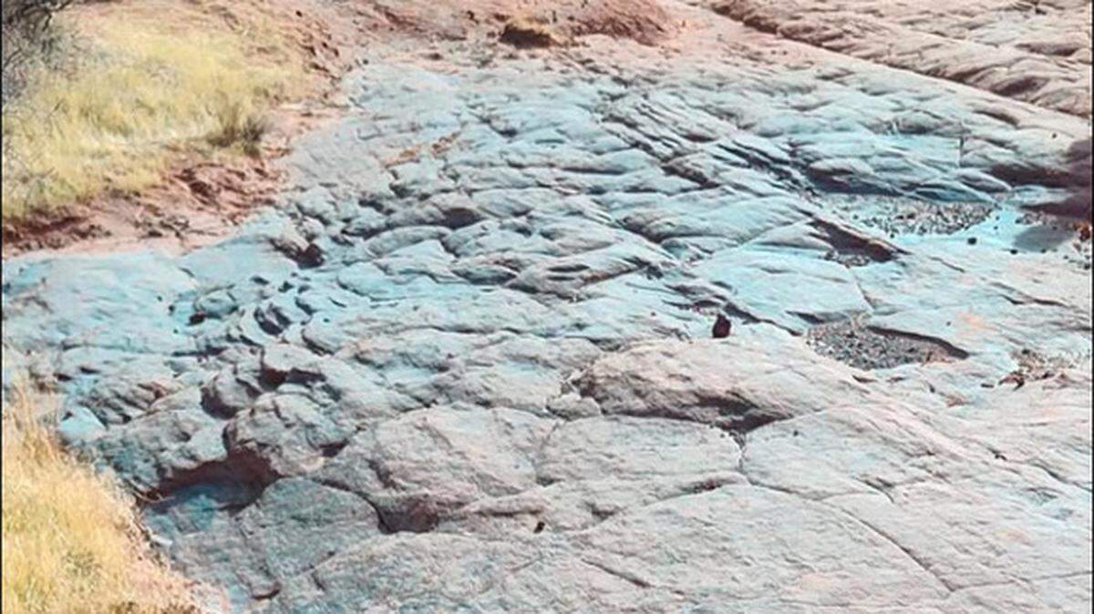 Snow Canyon rangers spent more than four hours cleaning up the powder, an Instagram post said.