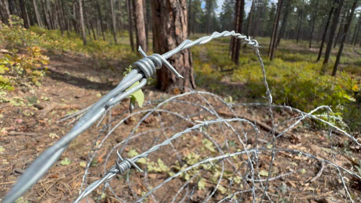 The U.S. Department of Justice is suing a mysterious group that built a barbed-wire fence around 1,400 acres of public land and tried to claim ownership of it.
